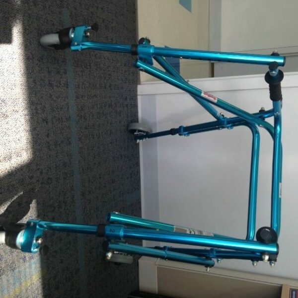 Nimbo Posterior Walker