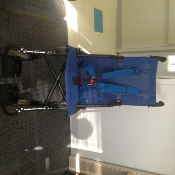 Mighty Lite adaptive stroller