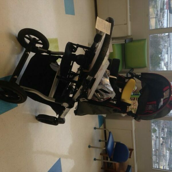 Voyage Adaptive Stroller