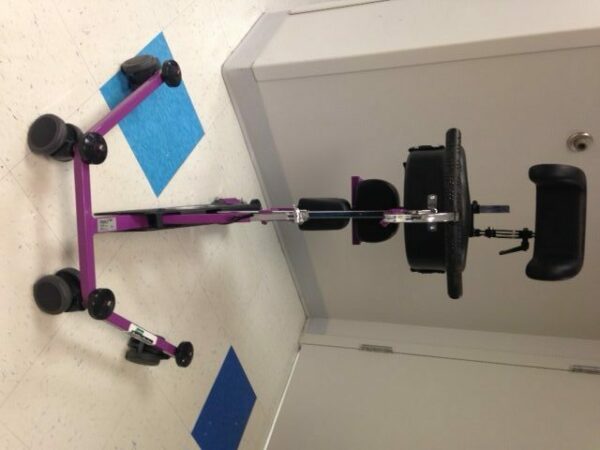 Pony Gait Trainer