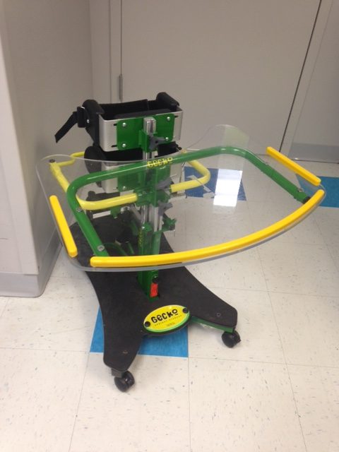 Gecko vertical stander