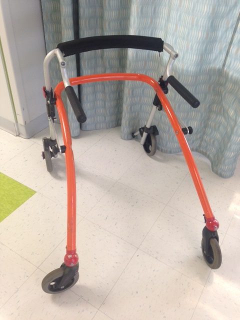 Crocodile Gait Trainer