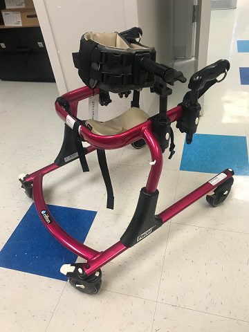 Pacer Gait Trainer, small