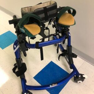 Pacer Gait Trainer, small