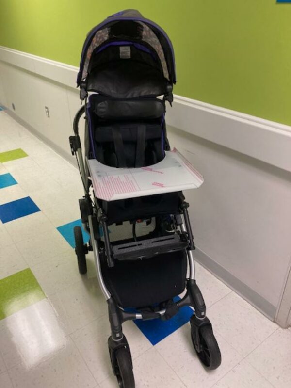 Voyage Adaptive Stroller