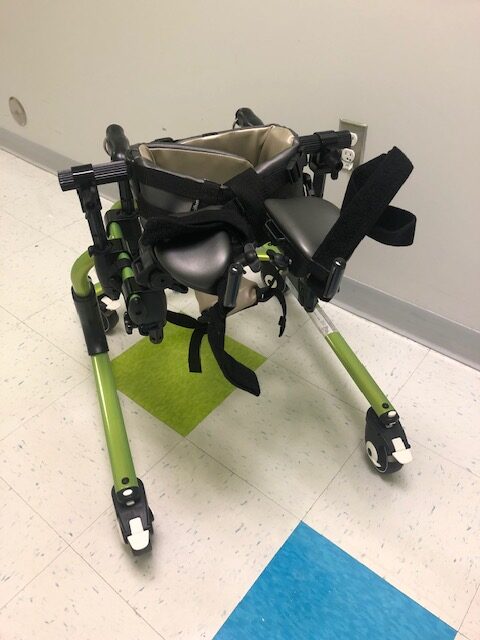 Pacer Gait Trainer, small