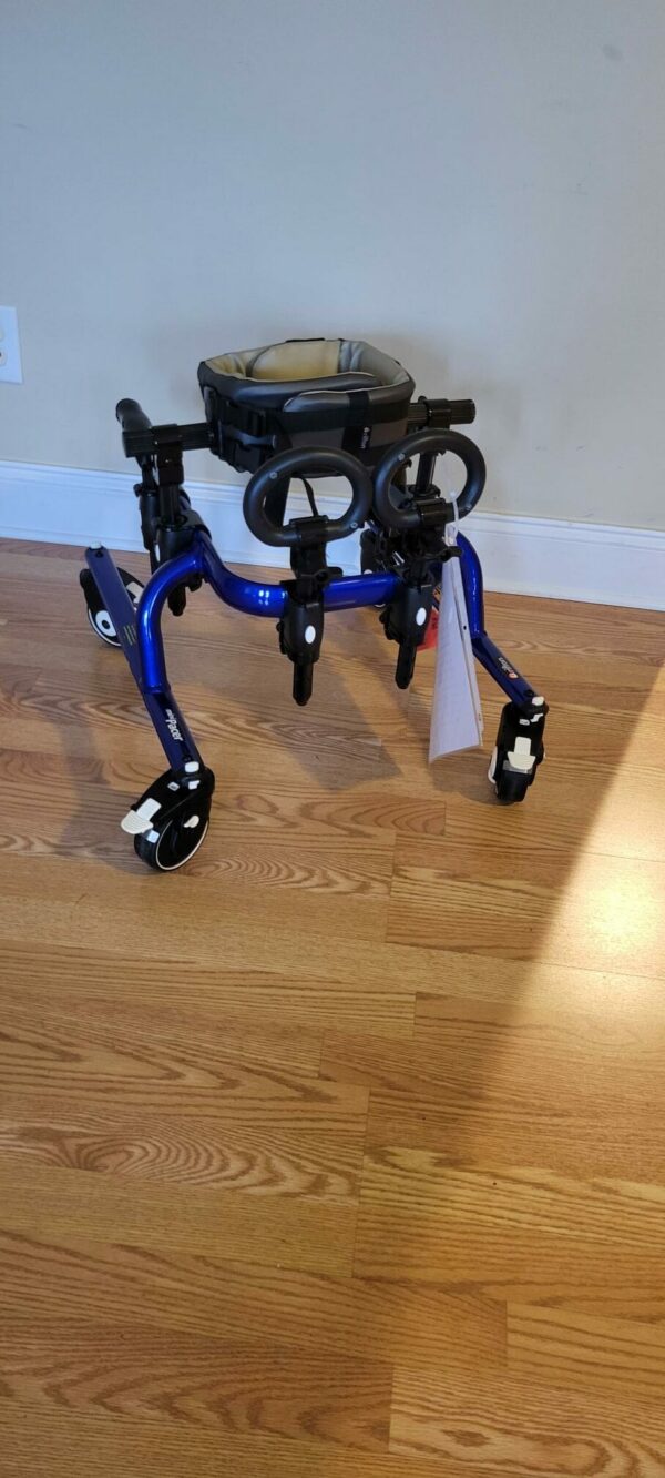 Pacer Gait trainer size mini