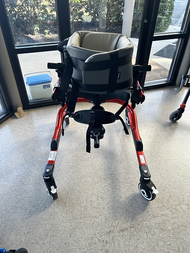 Dynamic Pacer Gait Trainer -- Large