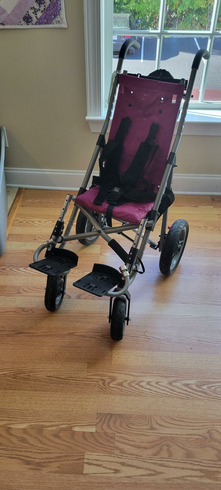 EZ Rider adaptive stroller, 12" wide