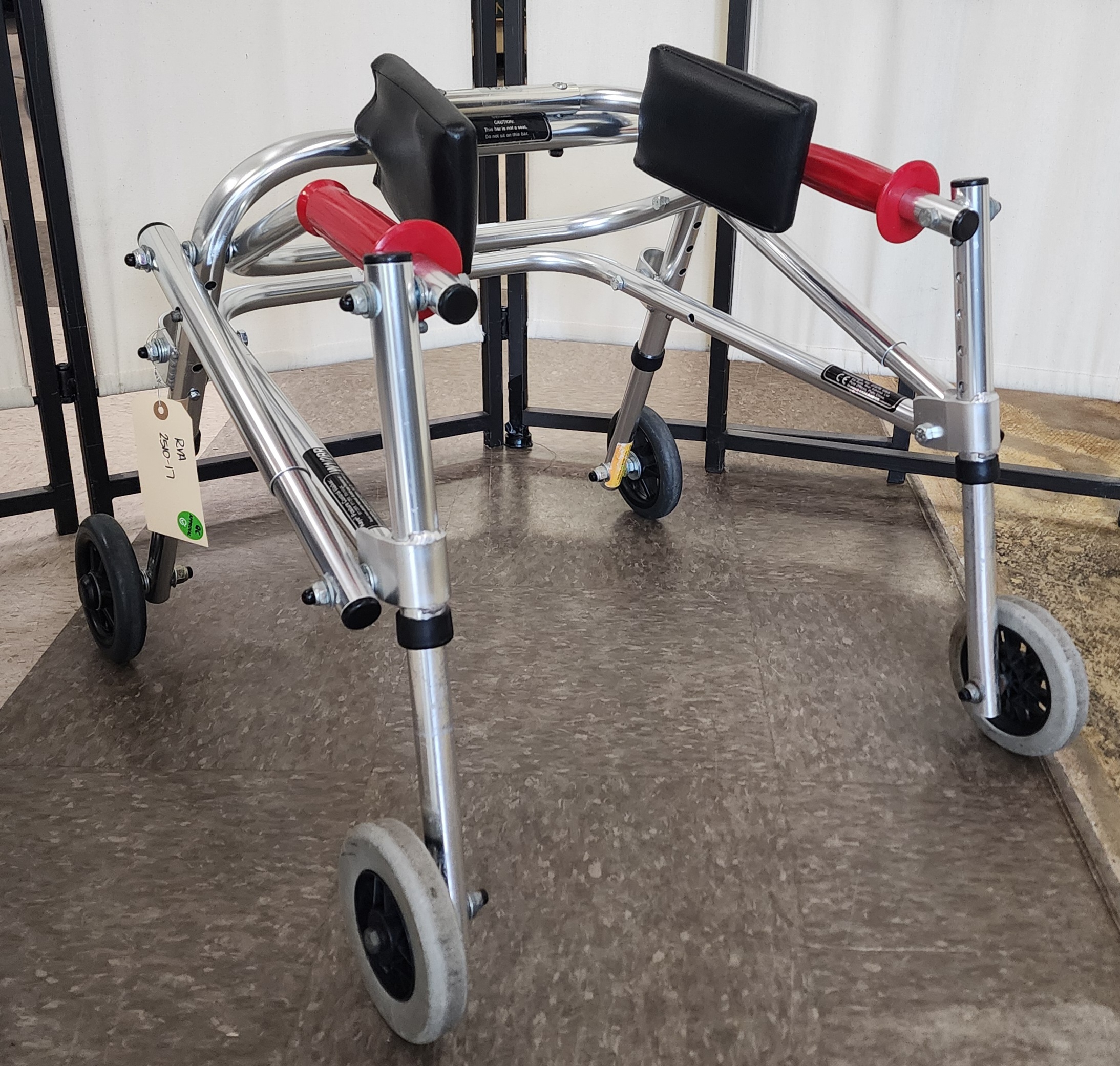 Kaye Posture Control Walker