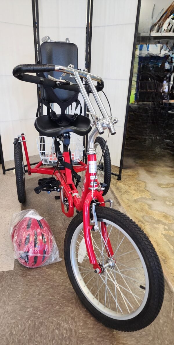 Amtryke Pro Series Adaptive Tricycle, Model 1412