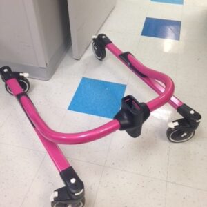 import placeholder for 22631